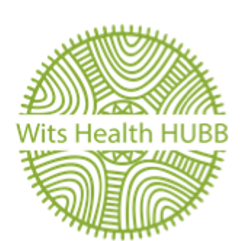 Wits Health Hubb Assessment 2025