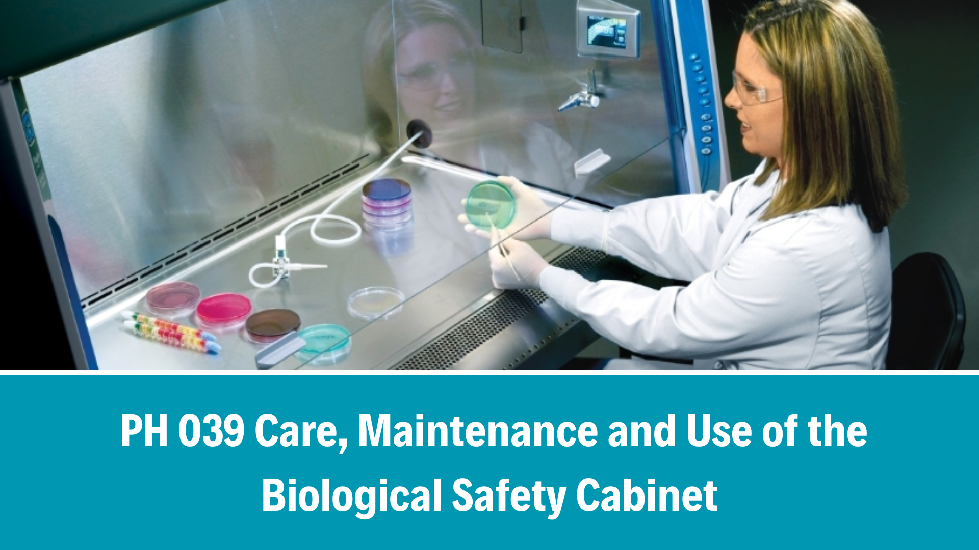 PH 039 Care, Maintenance and Use of the Biological Safety Cabinet, V4.0, 6 Oct 2025